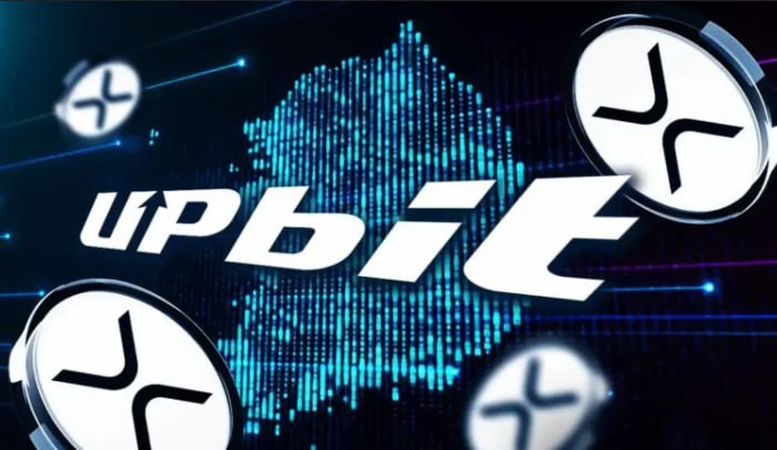 Upbit Feature